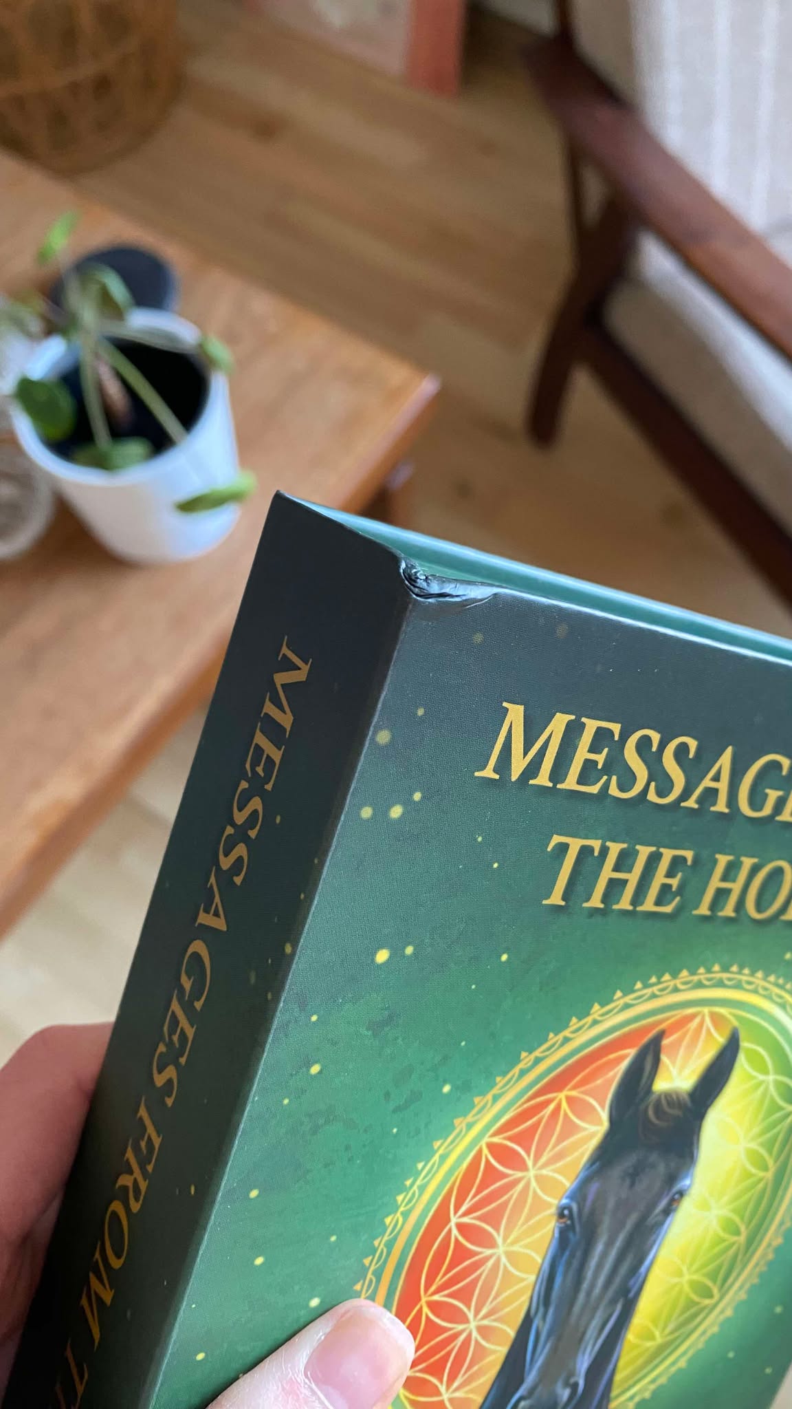 Damaged “Messages from the Horses” Deck + prize draw entry