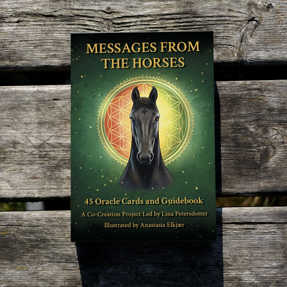 Messages from the Horses