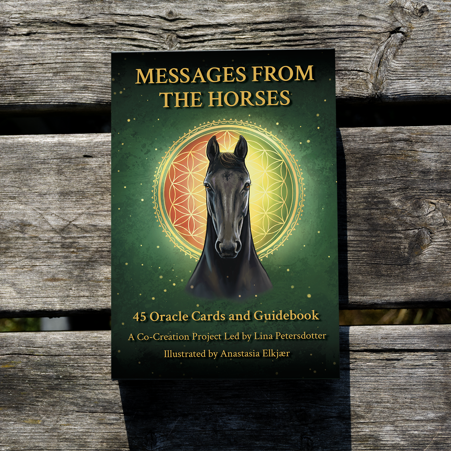 Damaged “Messages from the Horses” Deck + prize draw entry
