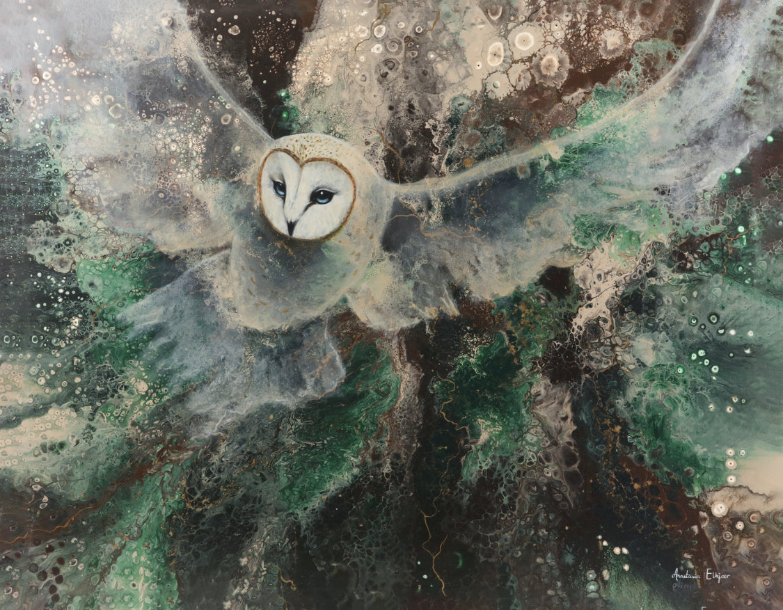 Snowy Owl - 55x70 cm canvas print