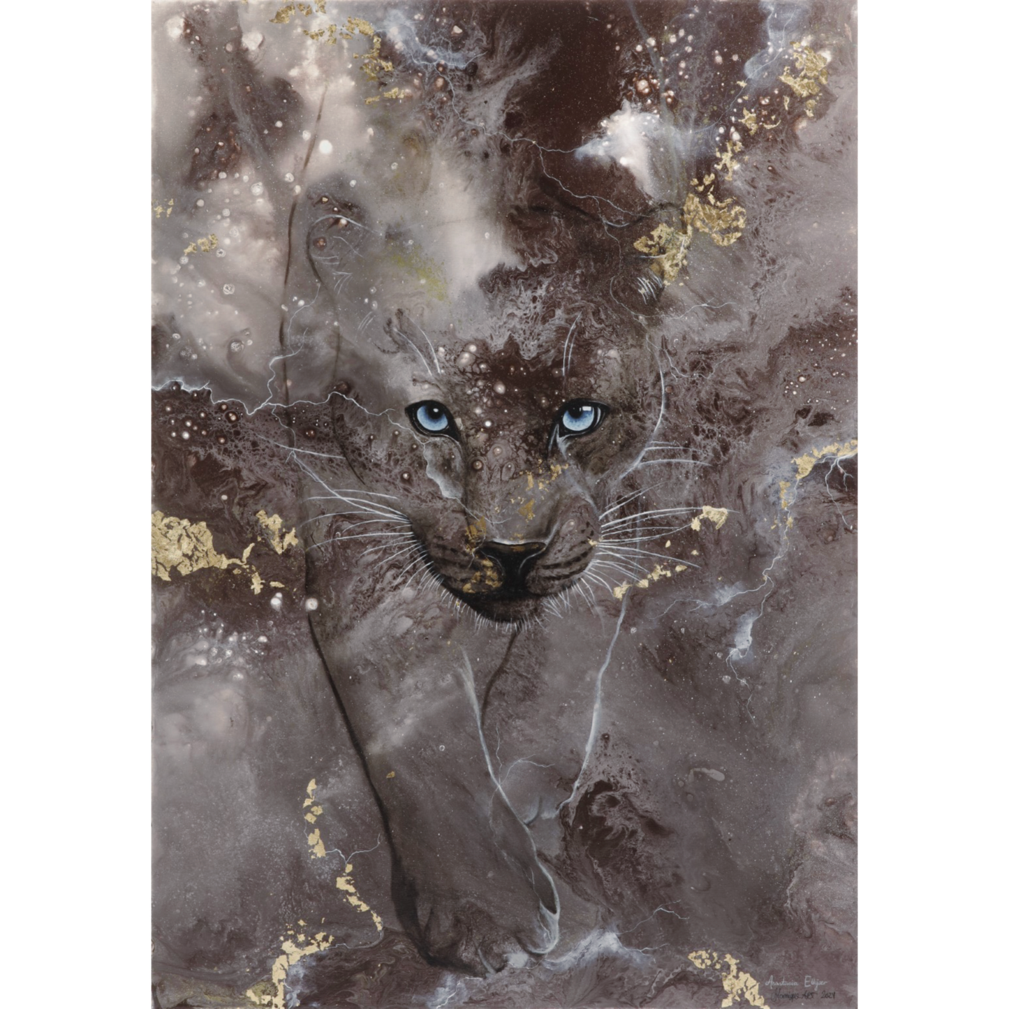 Panther - 50x70 cm canvas print