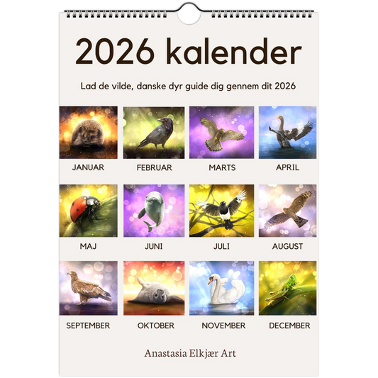 0ce84885-9c58-48d6-919b-7cfc2f8f3945