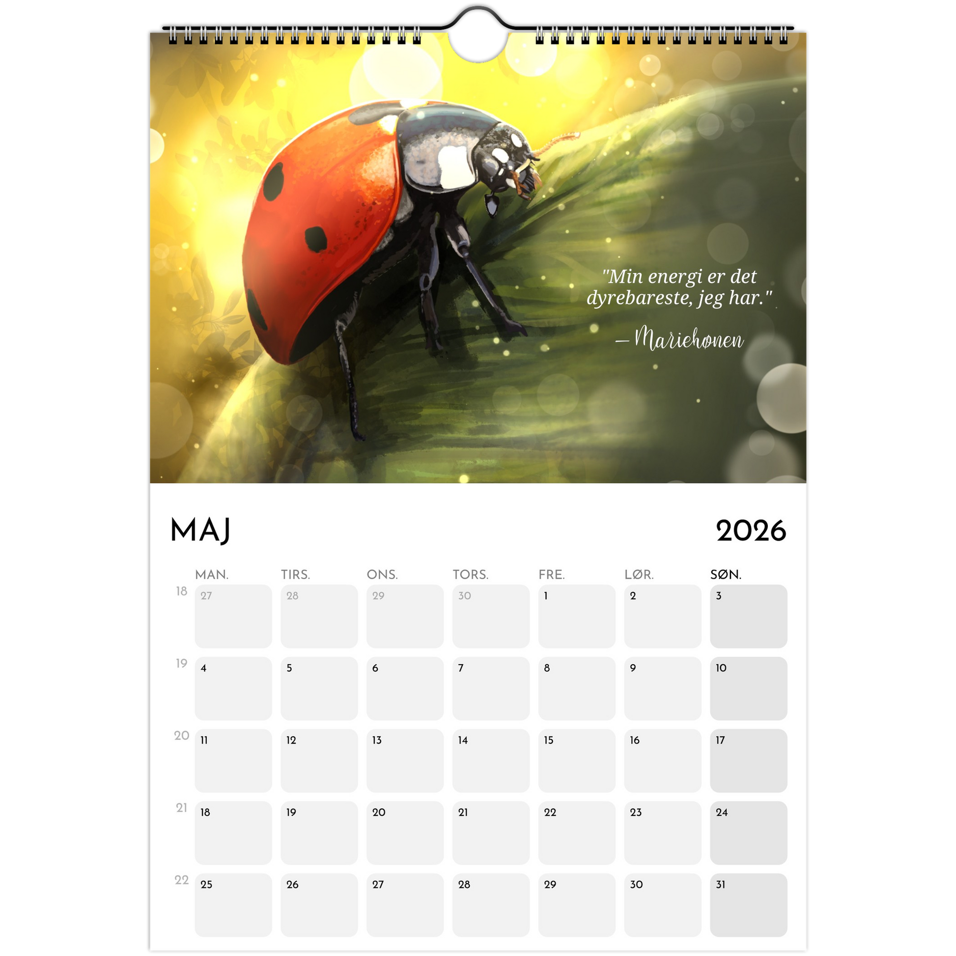 22671ced-70df-44bb-9e55-0cc727ee4b2a