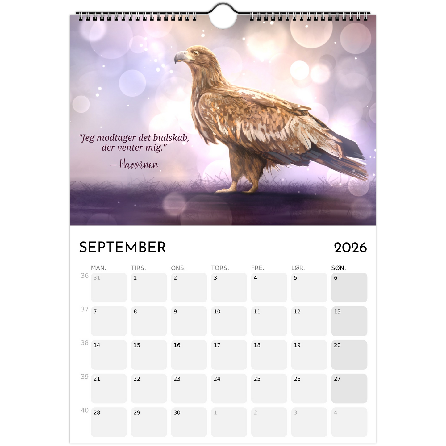 5e1ac732-4845-4935-b7a3-411c46d668f2