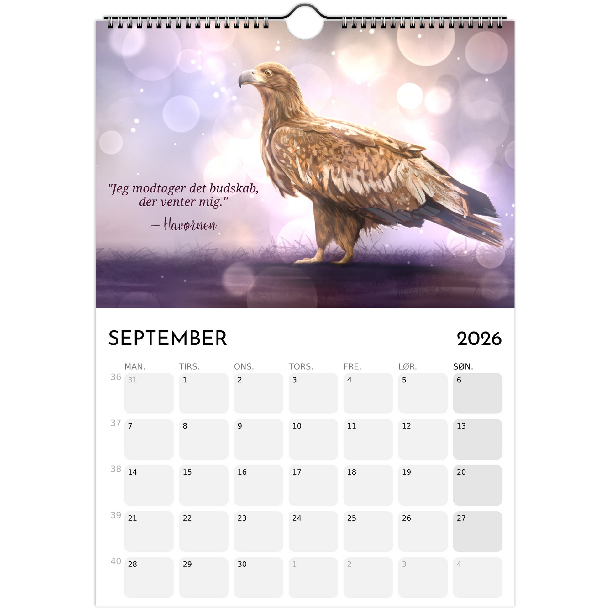 5e1ac732-4845-4935-b7a3-411c46d668f2