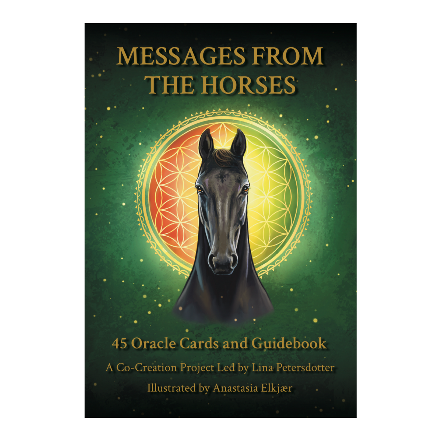 Messages from the Horses