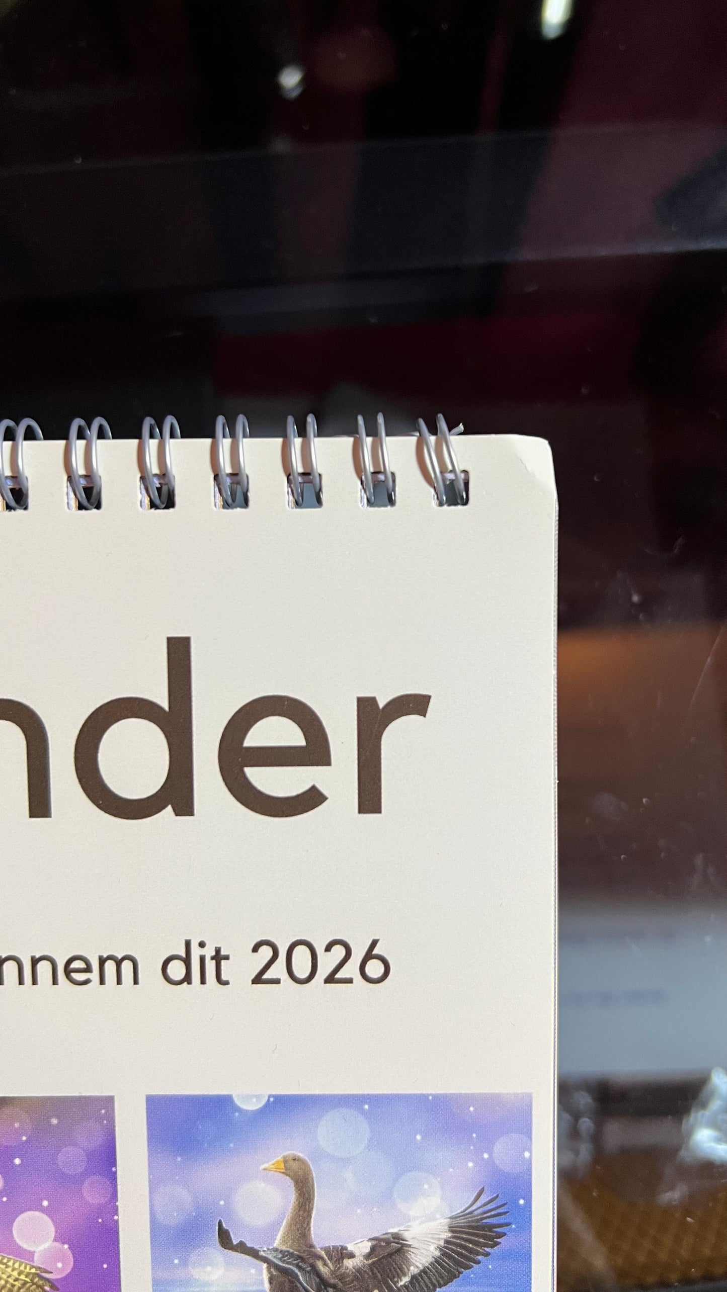 Beskadigede - 2026 kalender - Utæmmede Stemmer